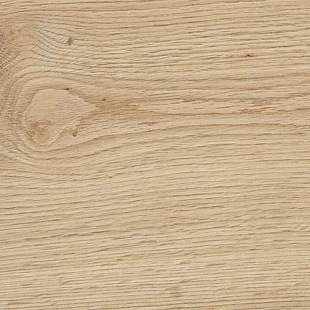 Essential Wood Series Oak Muniellos