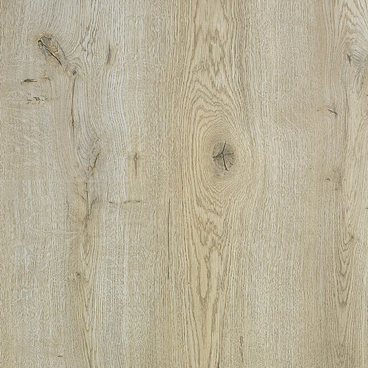 Trendy Series CC-170